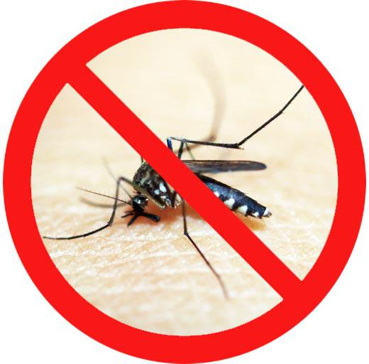 Desinsetização de Mosquitos
